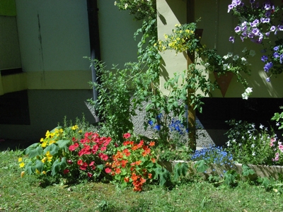 Balkon_XI.JPG (143557 Byte)